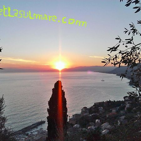 Villetta Sul Mare Camogli Dış mekan fotoğraf