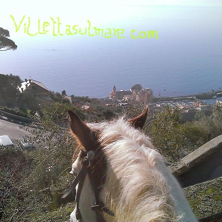 Villetta Sul Mare Camogli Dış mekan fotoğraf