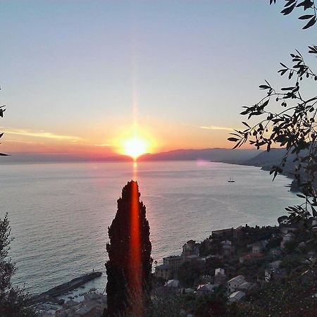 Villetta Sul Mare Camogli Dış mekan fotoğraf