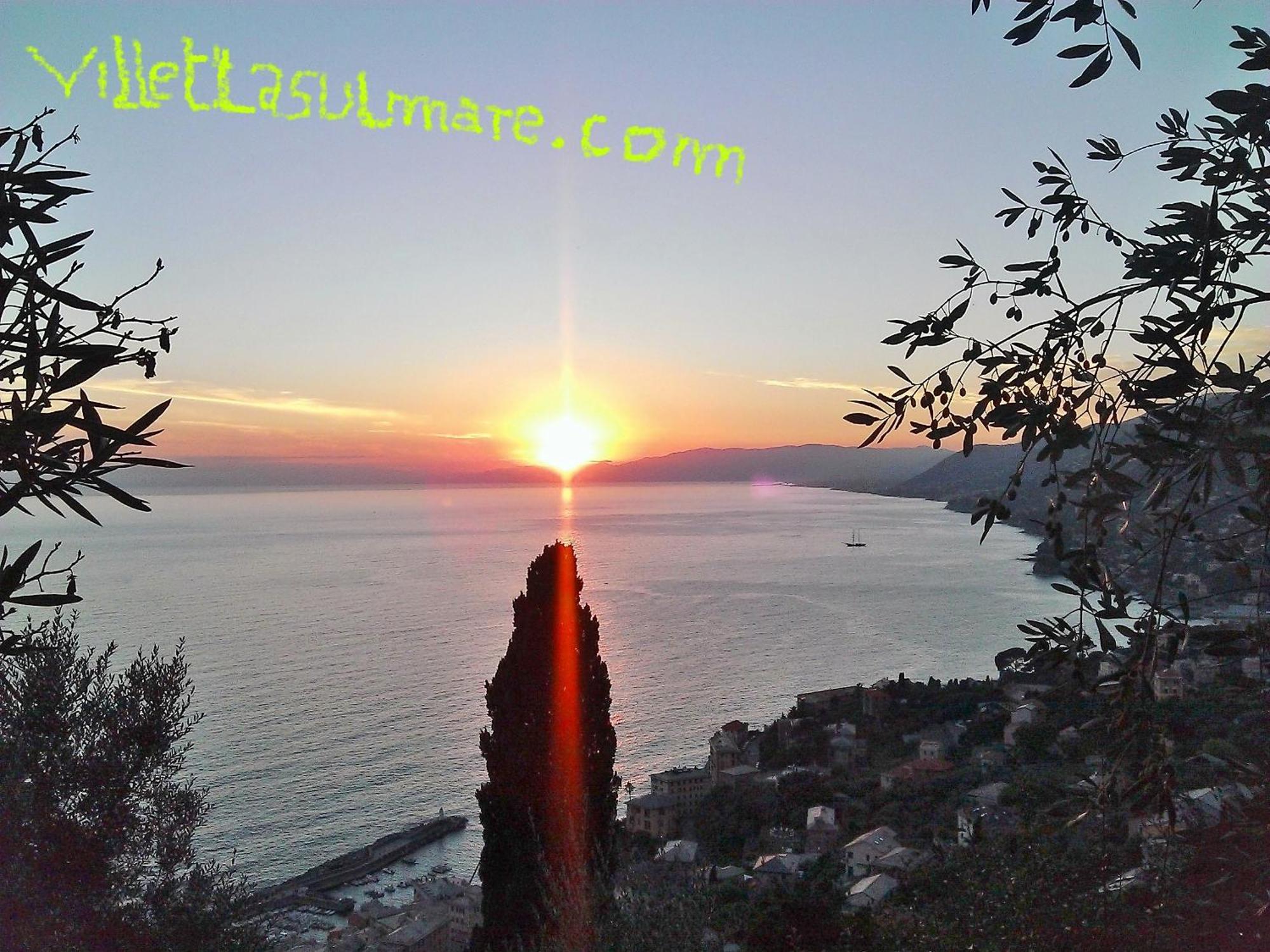 Villetta Sul Mare Camogli Dış mekan fotoğraf