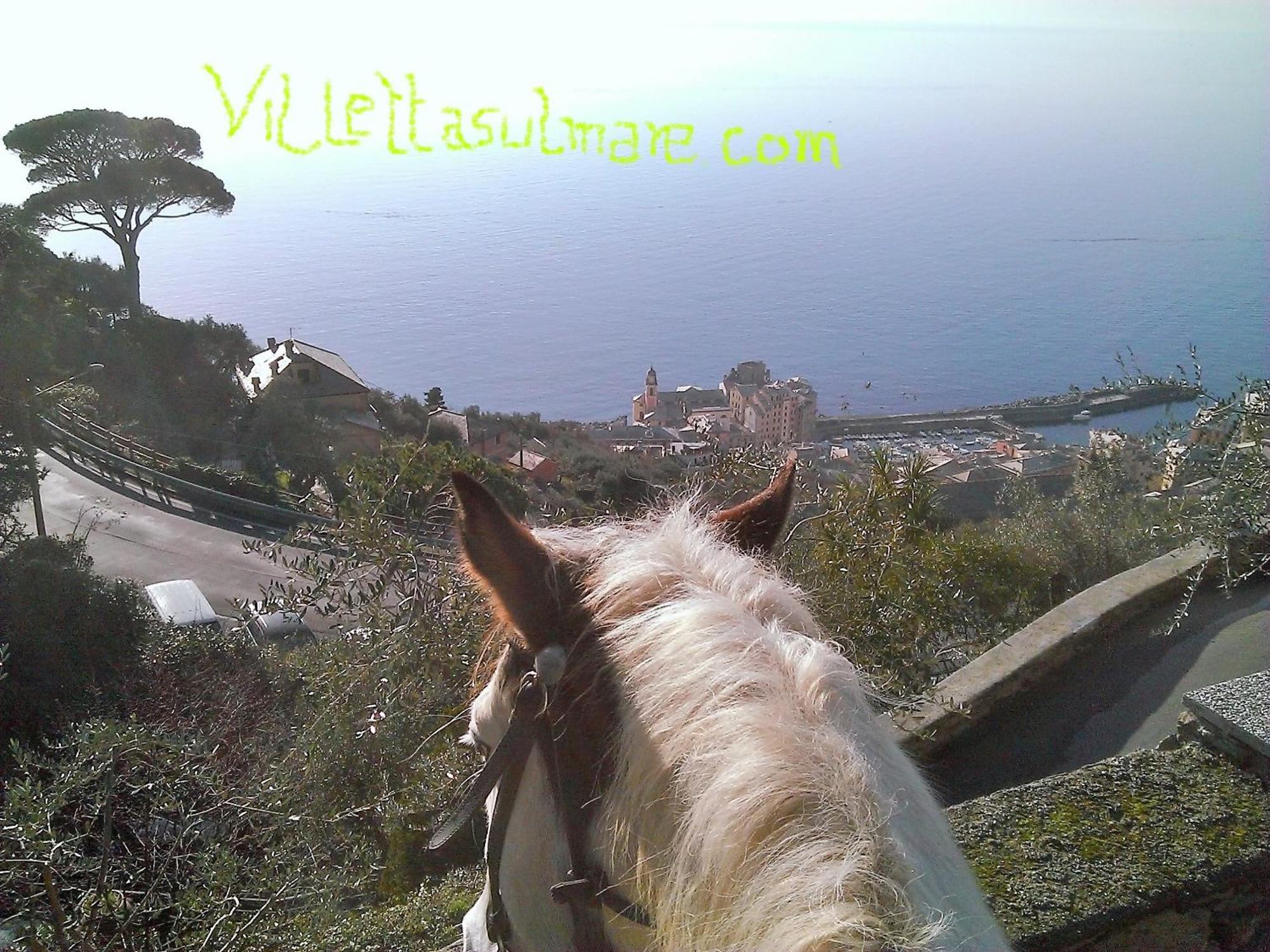 Villetta Sul Mare Camogli Dış mekan fotoğraf