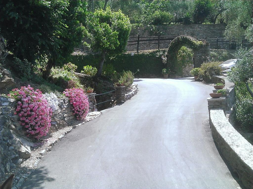 Villetta Sul Mare Camogli Oda fotoğraf